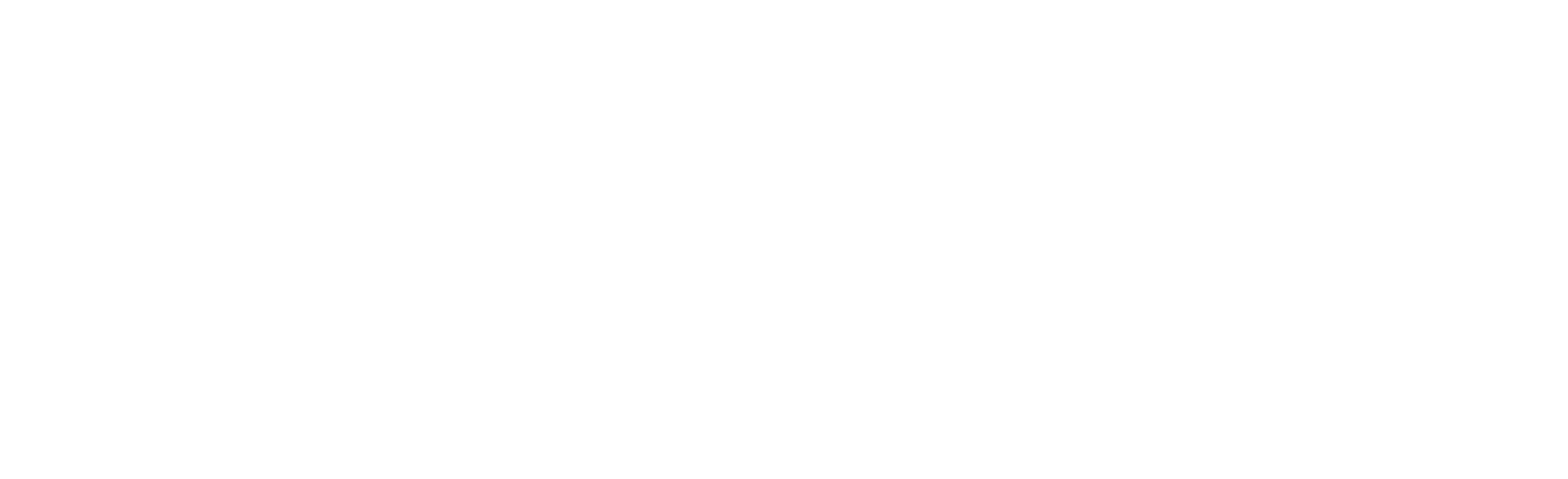 Rizoma Consultoría y Desarrollo